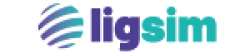 ligsim - logo 150X32px_Prancheta 1